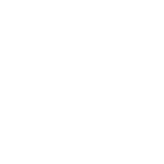 Dannys Avondale Truck Wash and Service Center Icon Chrome White