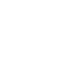 Dannys Avondale Truck Wash and Service Center Icon Scales White