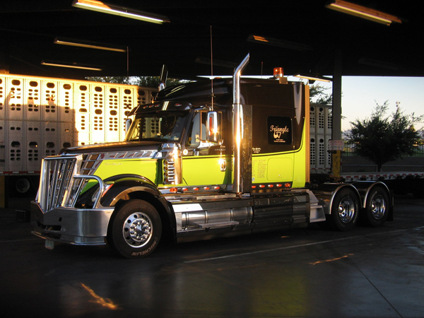 International Lonestar International Lonestar